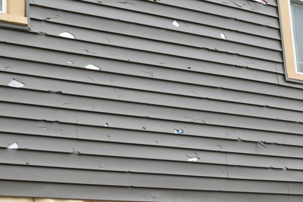 Best Brick Veneer Siding  in Redwood City, CA
