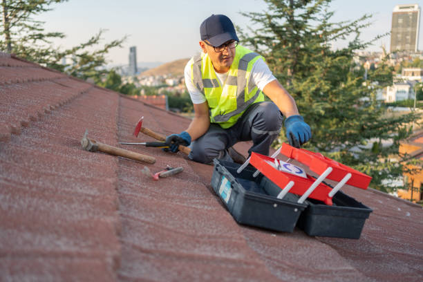 Best Siding Painting and Refinishing  in Redwood City, CA