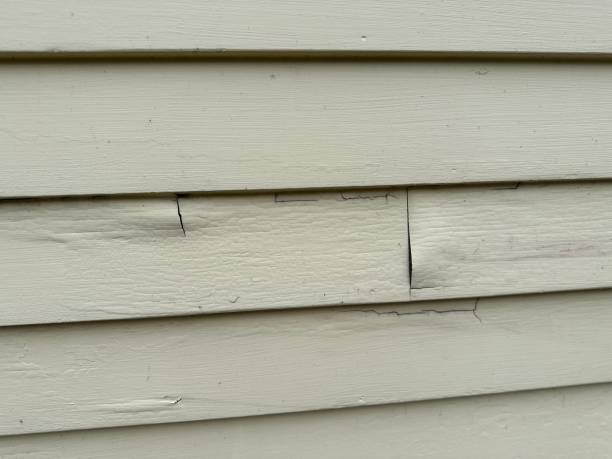 Affordable siding repair and maintenance services in Redwood City, CA